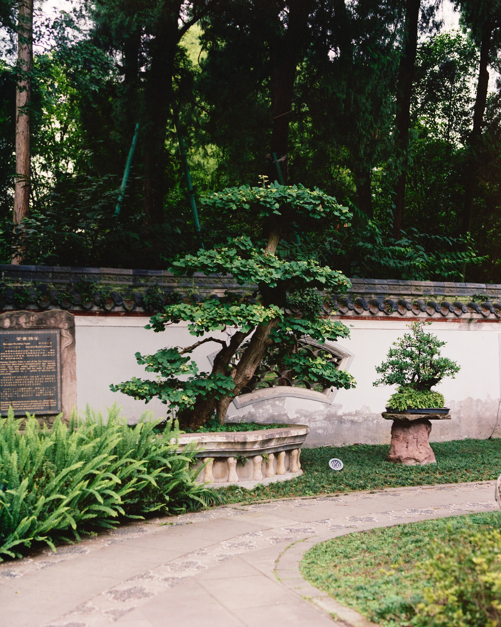 Envols Chine
